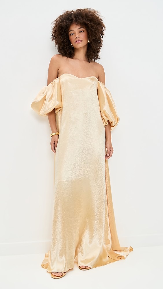 Caroline Constas Palmer Gown