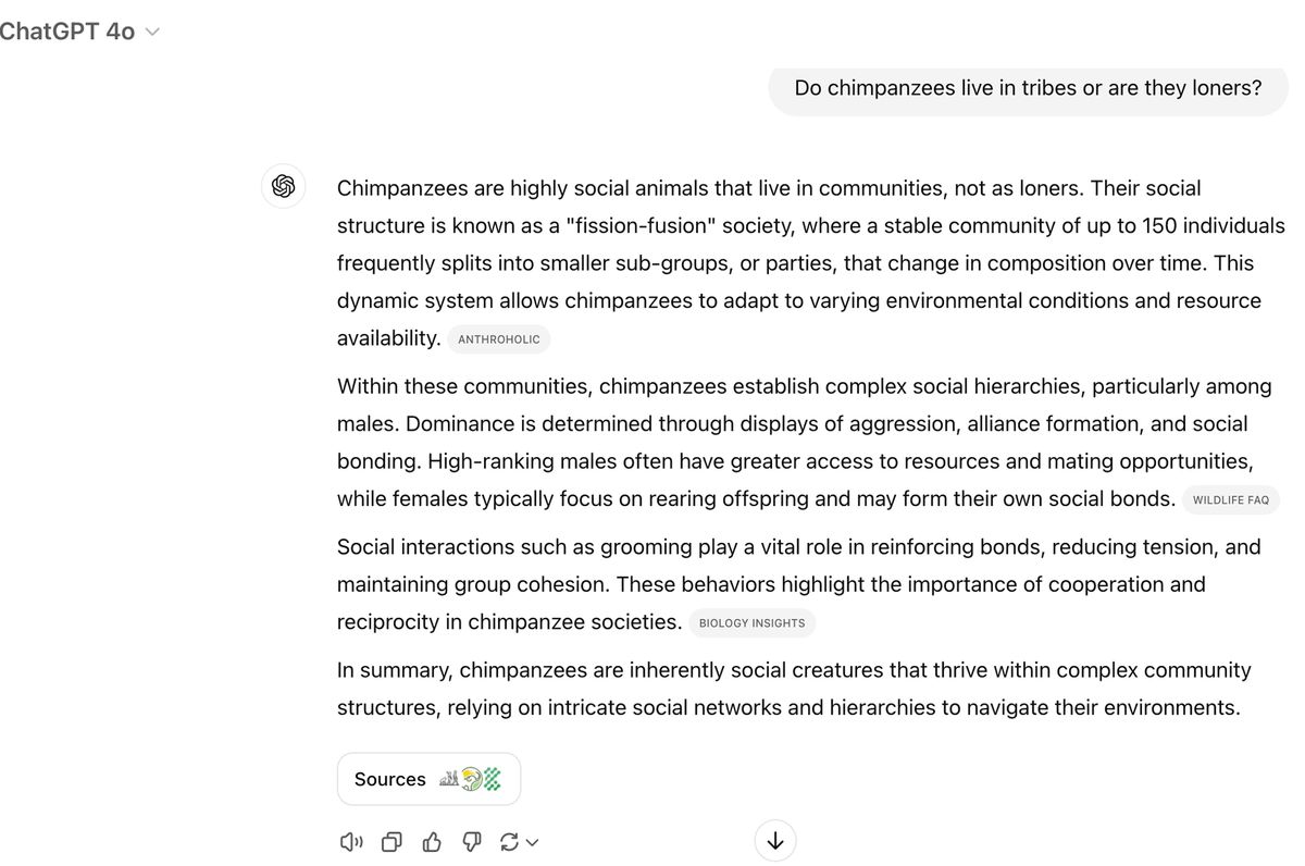 ChatGPT Search examples