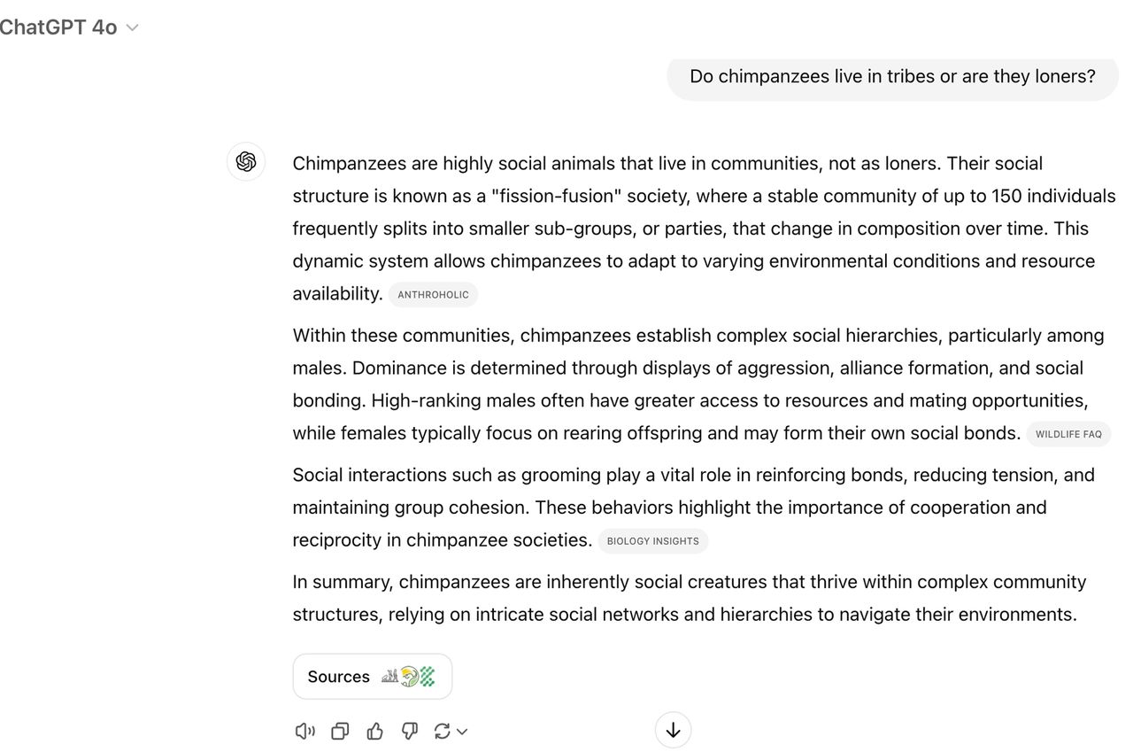 ChatGPT Search examples