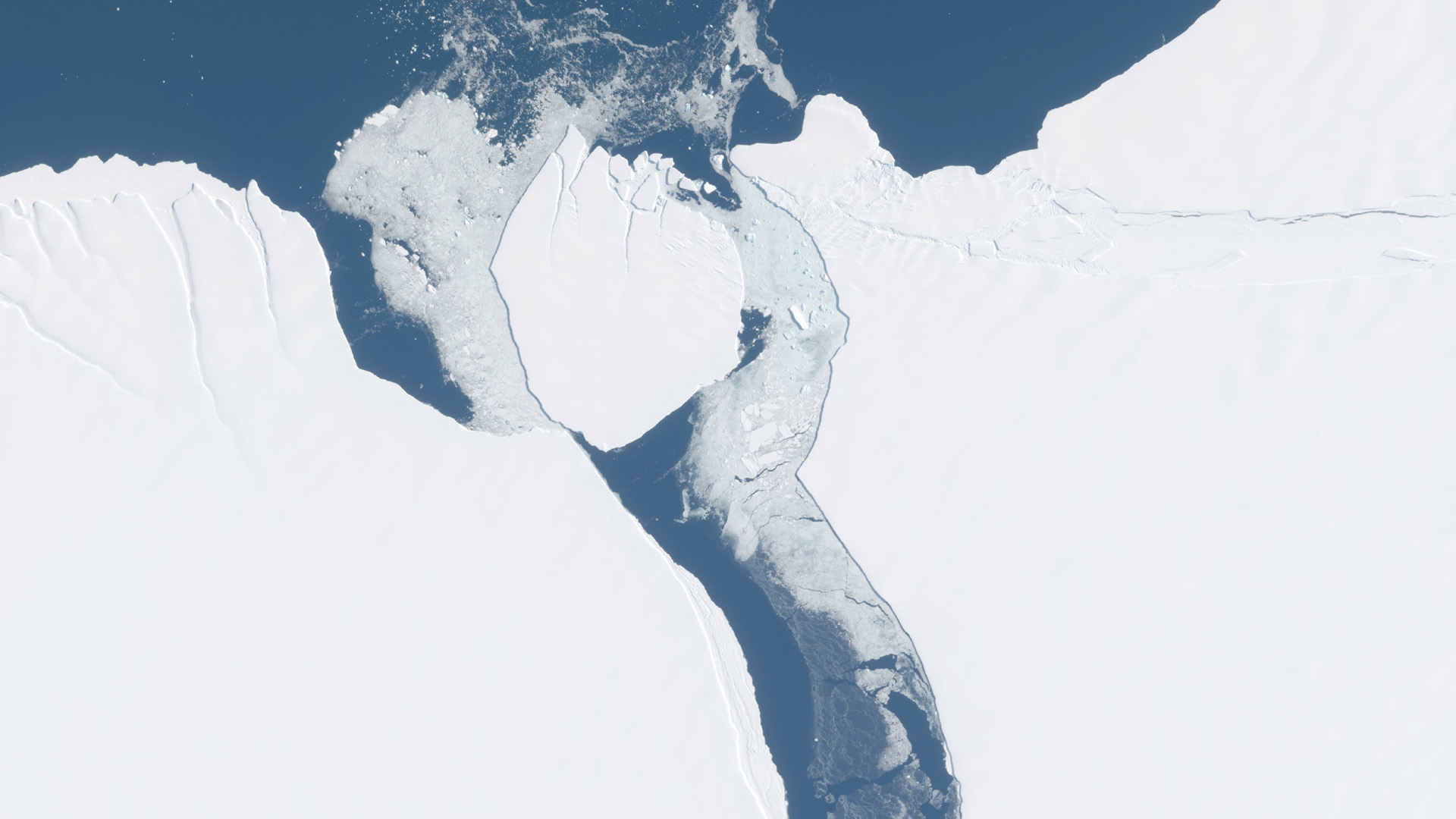 A detail of an Antarctic iceberg that has just broken off from a large floating ice shelf.