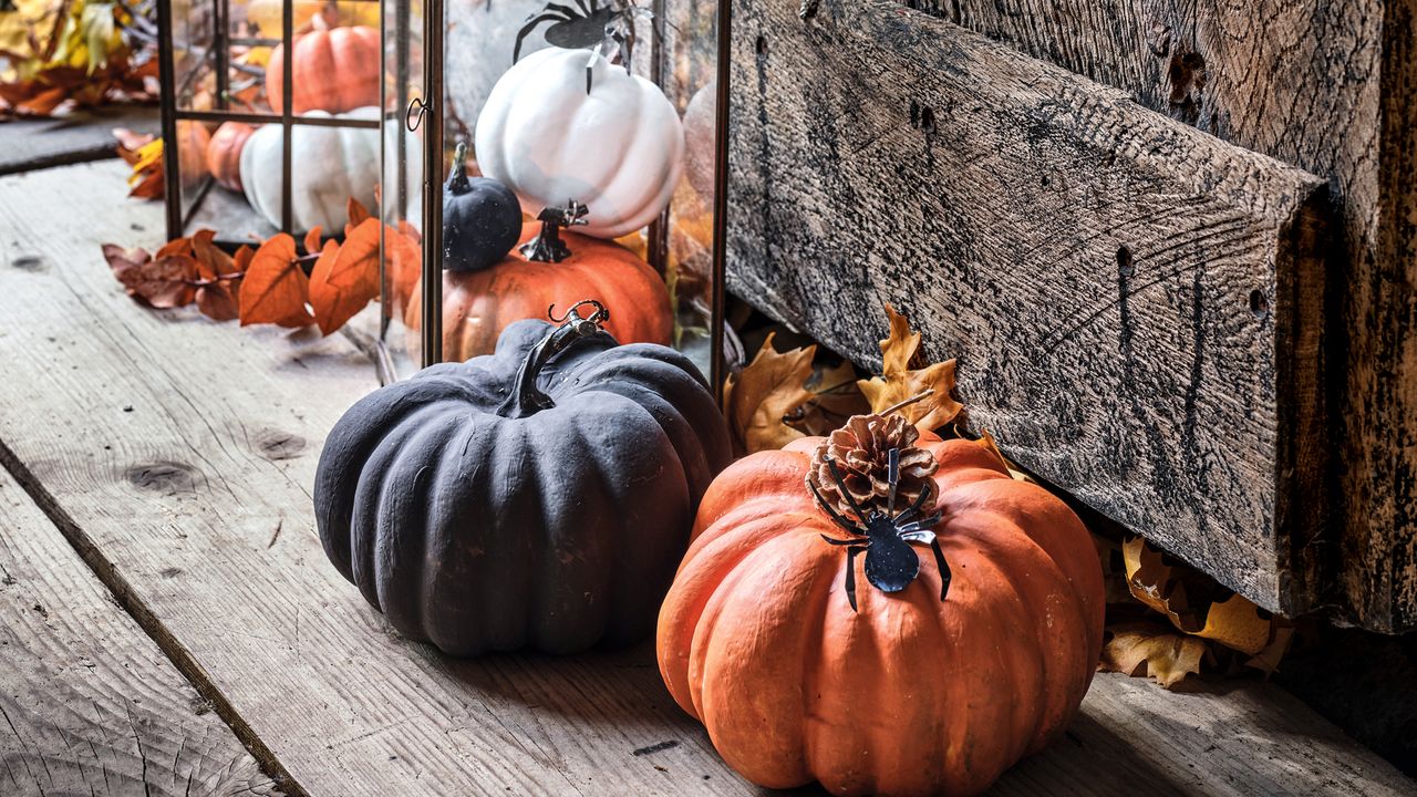 Painted pumpkin decorations on wooden floor