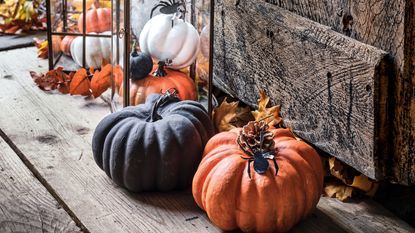 Painted pumpkin decorations, lanterns, spiders and autumn leaves on wooden floor