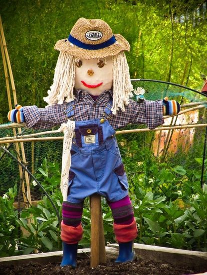 garden scarecrow