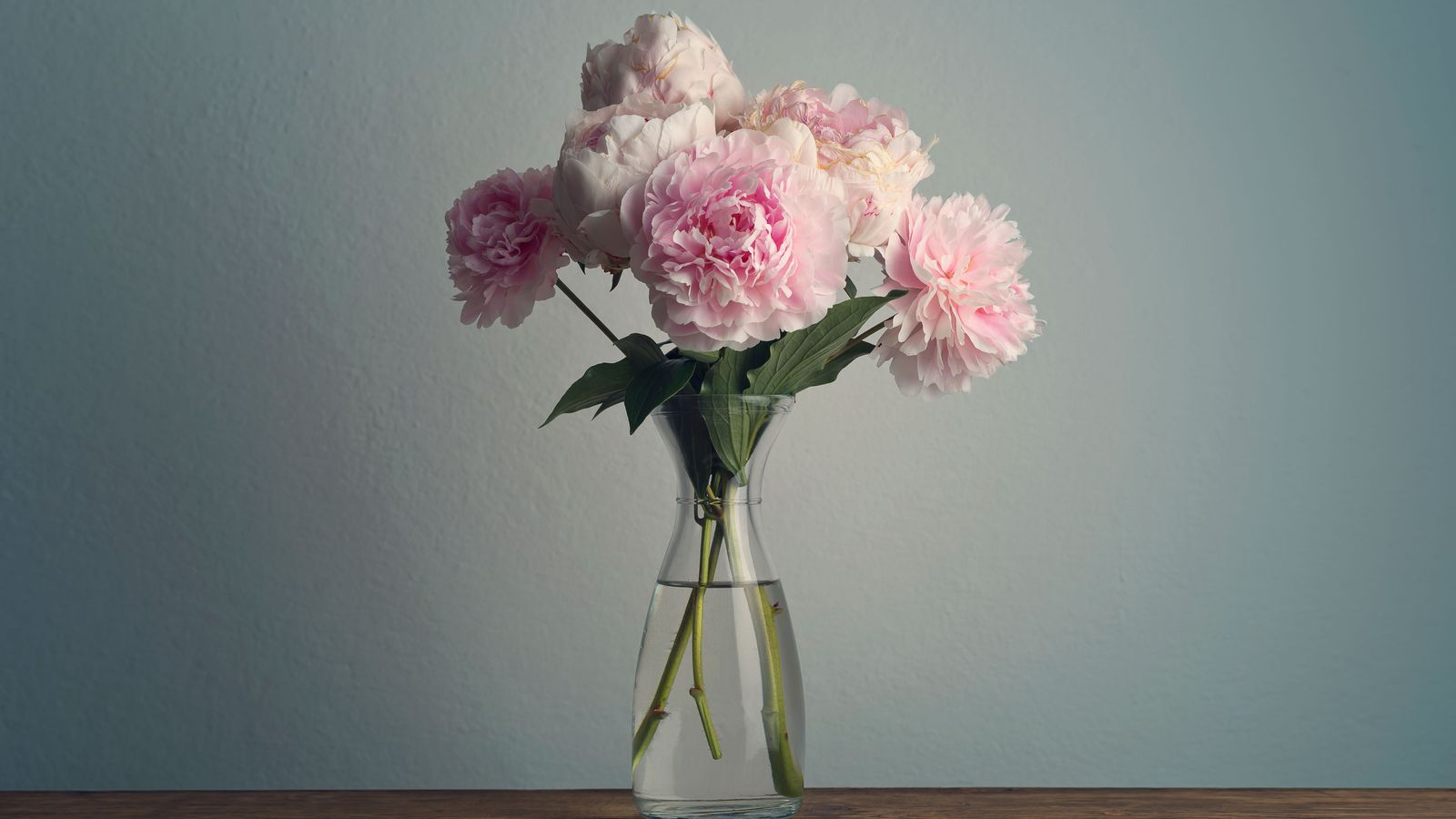 Peony styling tips – florists share their styling secrets | Livingetc