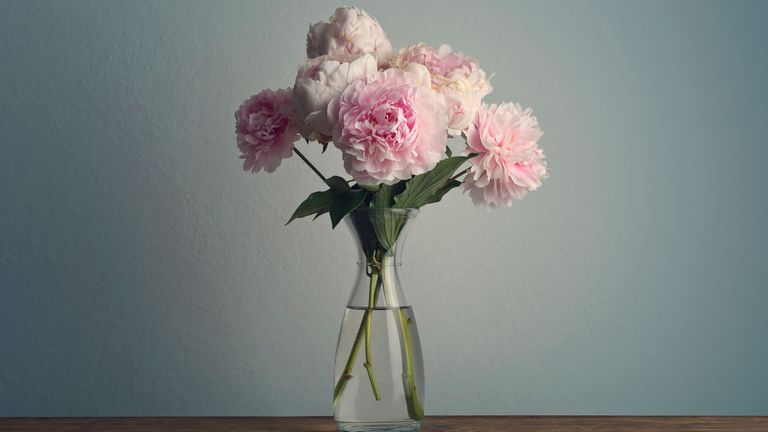 Peony posy in glass vase