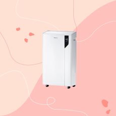 probreeze 20l dehumidifier pink graphic background