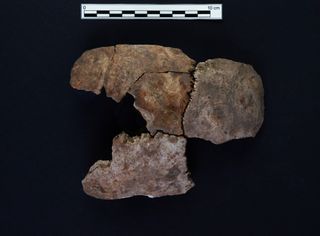 The skull of one human sacrifice shows evidence that a pointed instrument was driven down into the skull, killing the individual. This individual was between 16 and 20 years old at the time of death.