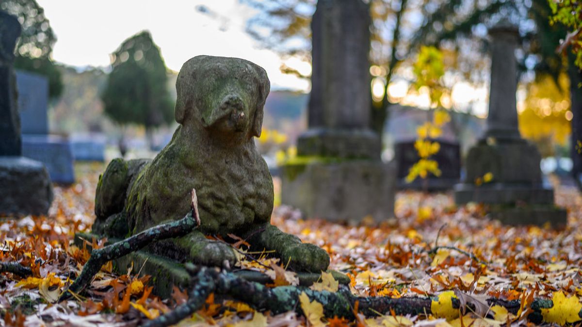 Pet cemetery