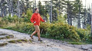 Man hiking downhill using trekking poles