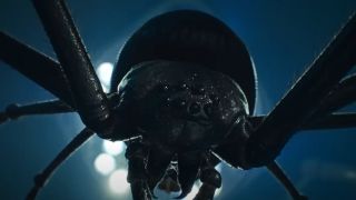 Close up of spider in American Horror Story: Delicate