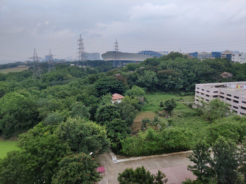OnePlus 8T camera sample