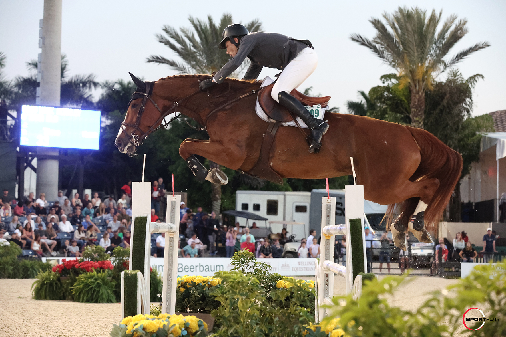 Mark McAuley and O&amp;rsquo;Hara ELS