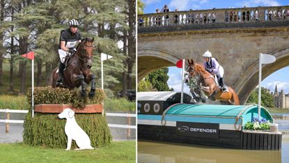 Blenheim Burghley