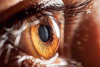 The Science Behind Perfect Eyesight