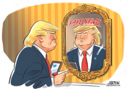 Political cartoons U.S. Trump Fake News