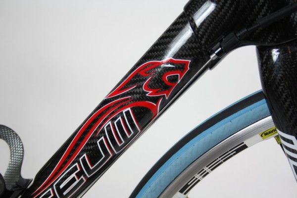 The Lion of Flanders features strongly in the frame's graphics