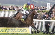 Kauto-Star-CheltenhamGC-2007.jpg