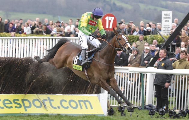 Kauto-Star-CheltenhamGC-2007.jpg