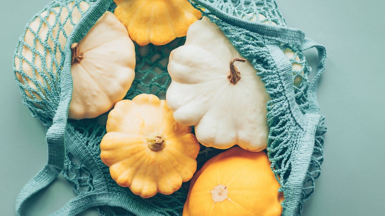 Five yellow and white pattypan squash in a blue string bag