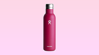 Hydroflask Wine Bottle