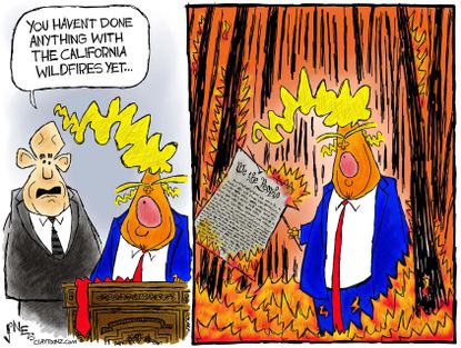 Political cartoon U.S. Trump California fires Constitution