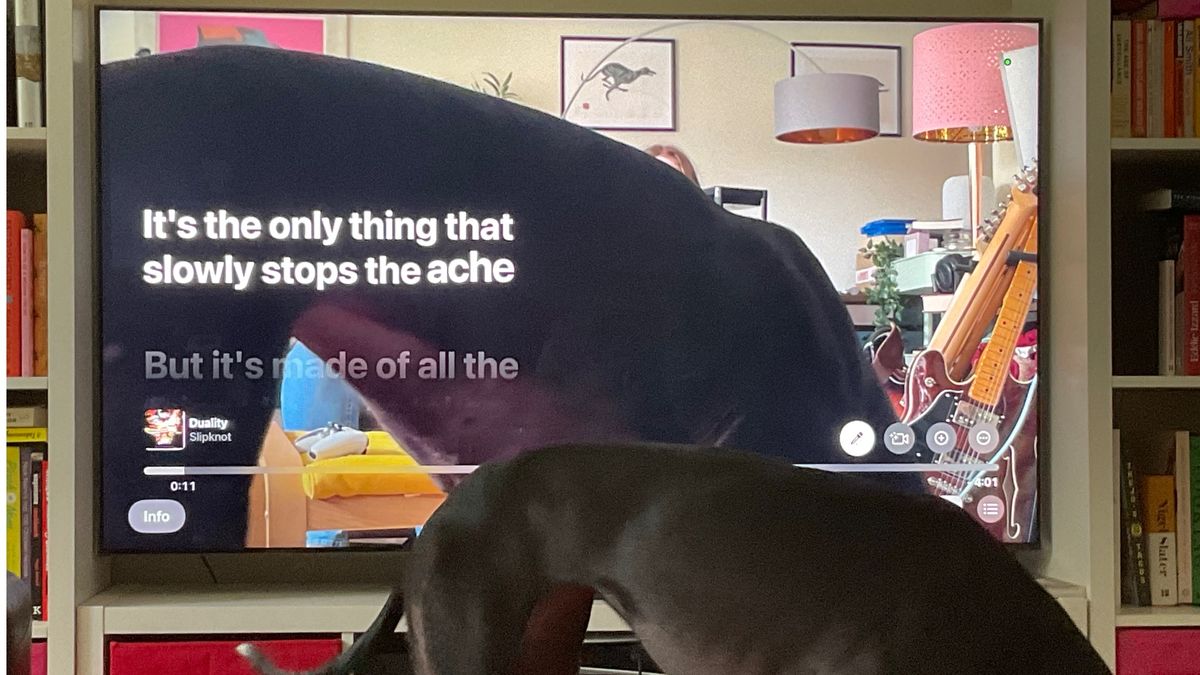 13 great Apple Music Sing karaoke tracks to try with Apple TV and your