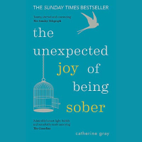 1. The Unexpected Joy of Being Sober by Catherine Gray