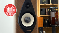 Sonus Faber midrange driver
