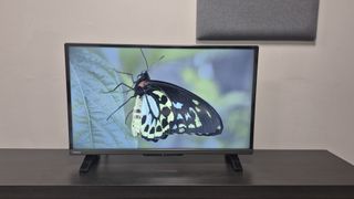 Toshiba 32LF2F53DB on TV unit with butterfly displayed on the screen