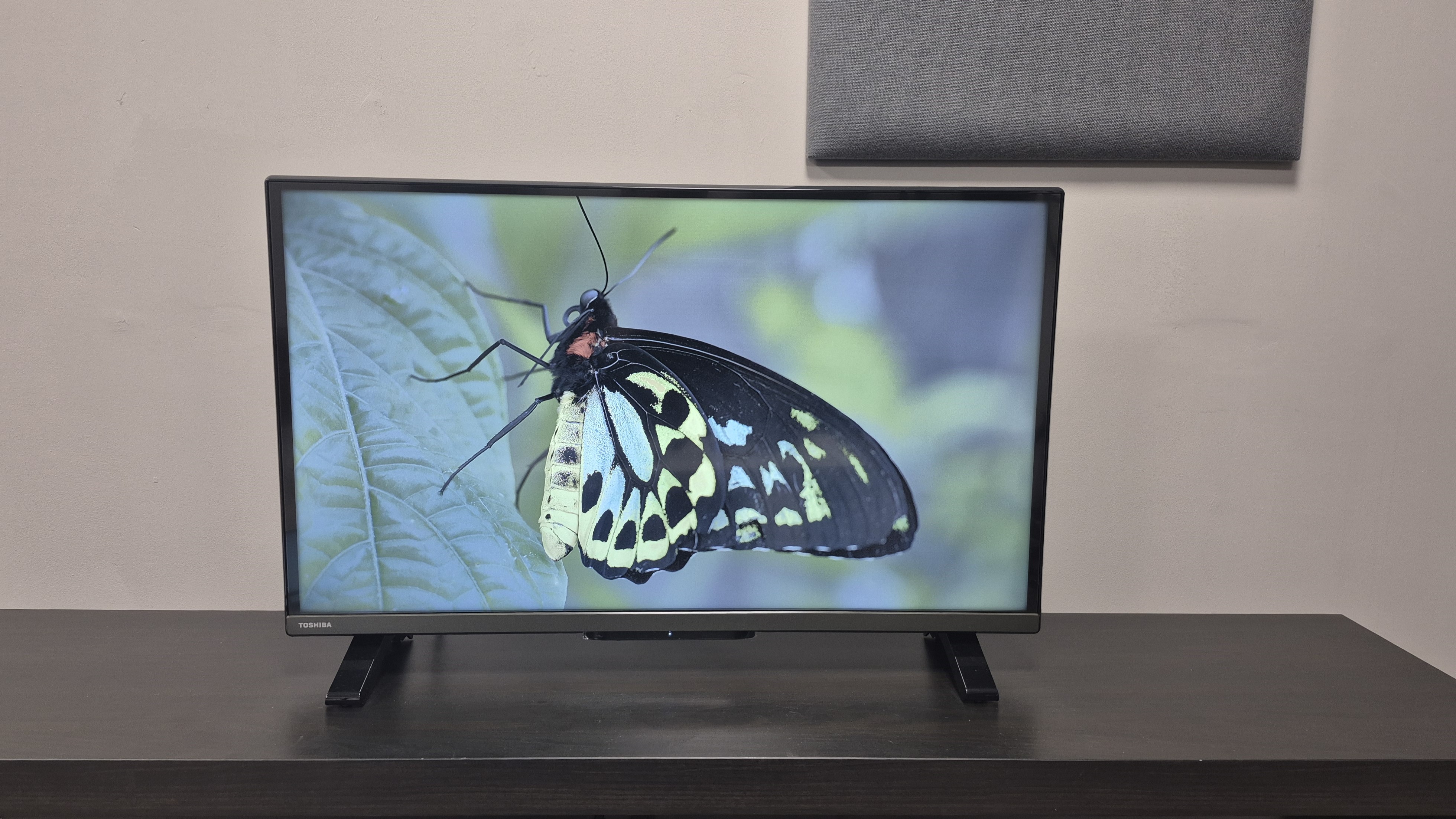 Toshiba 32LF2F53DB on TV unit with butterfly displayed on the screen