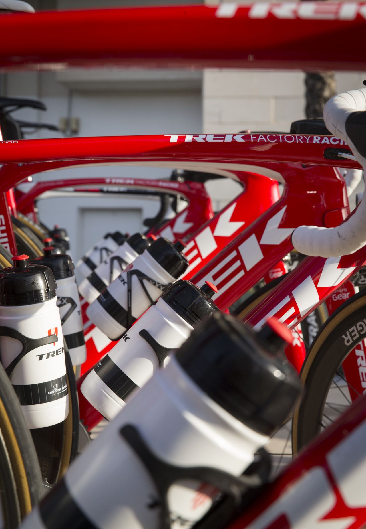 The bikes ready for the riders