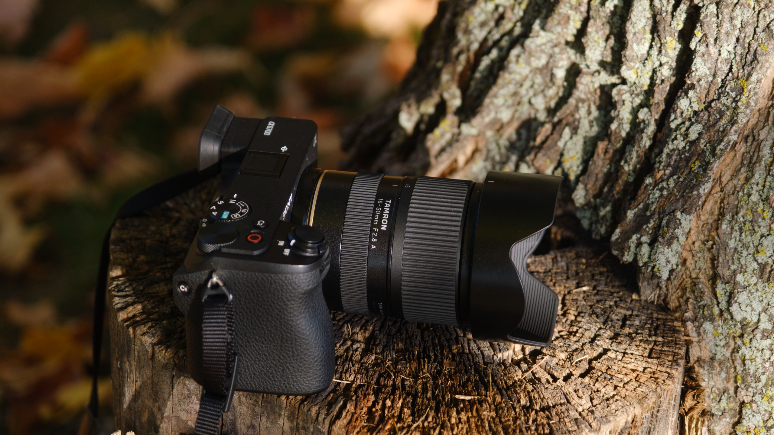 The Tamron 16-50mm f/2.8 A lens photographed outdoors