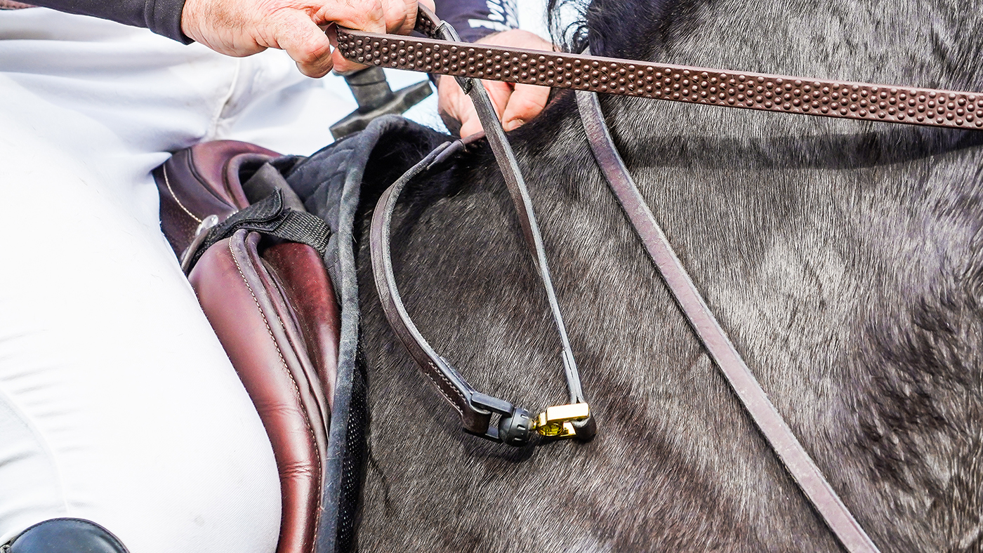 Free Reins in use