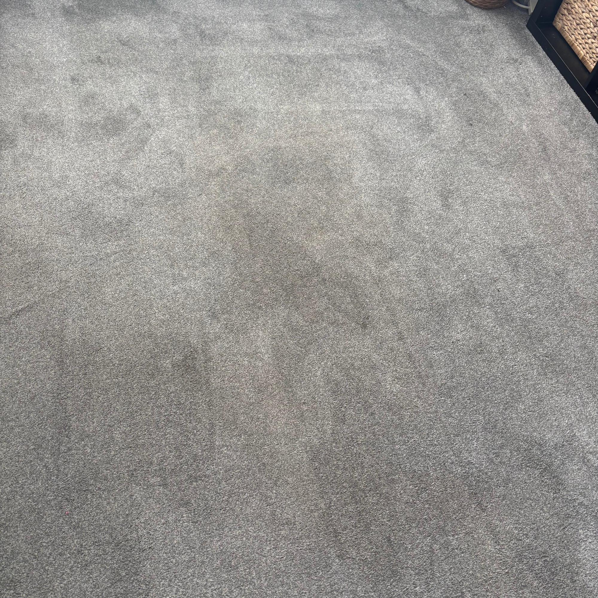 Grey carpets before and after using the Rug Doctor Deep Upright Carpet Cleaner