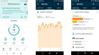 Workout data from the Fitbit Charge 5 in the Fitbit mobile app