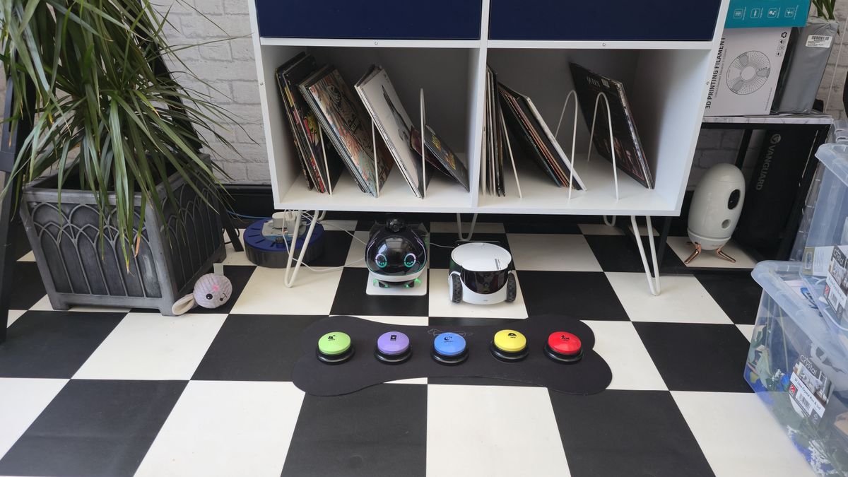 Beth's talking pet buttons on the mat on the floor
