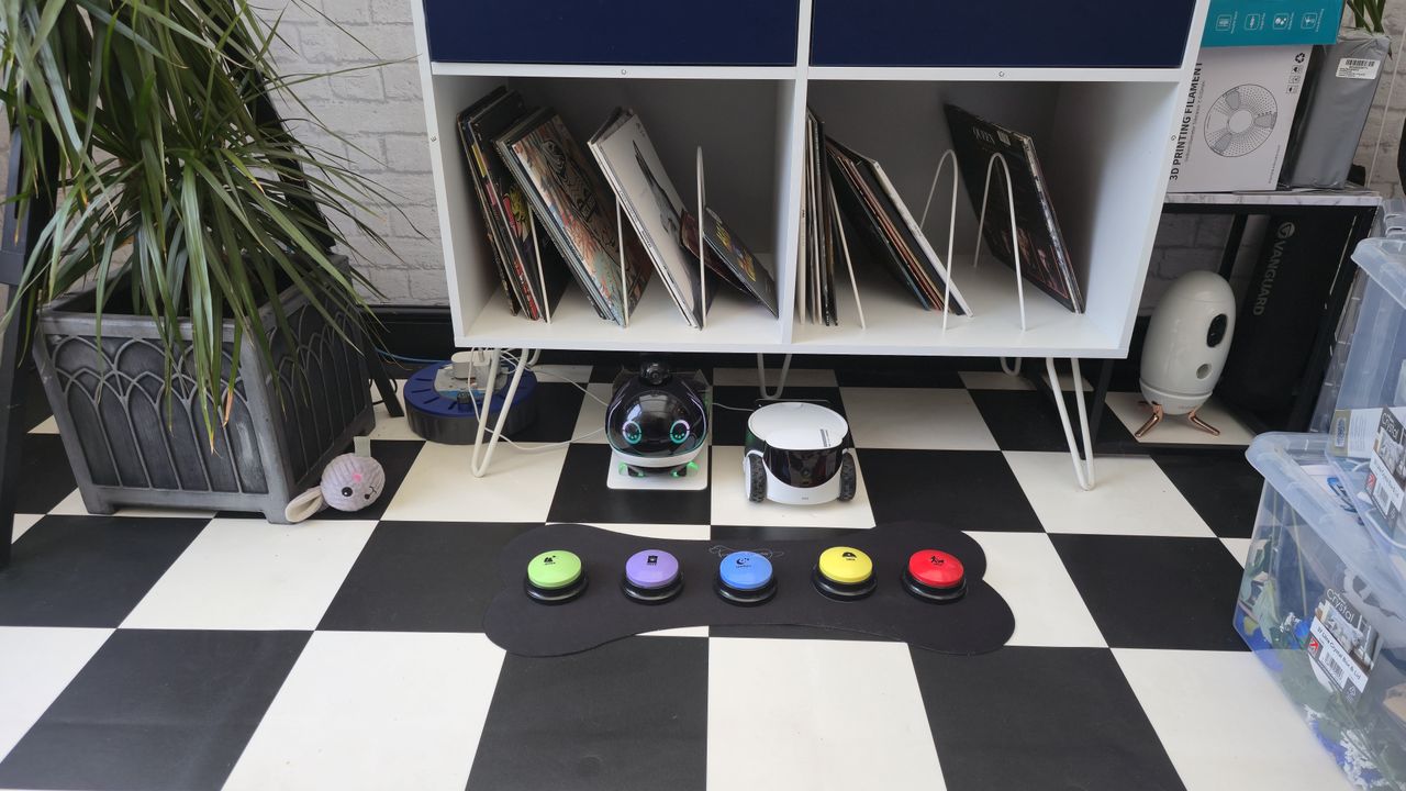 Beth's talking pet buttons on the mat on the floor