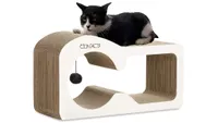 cat sofa