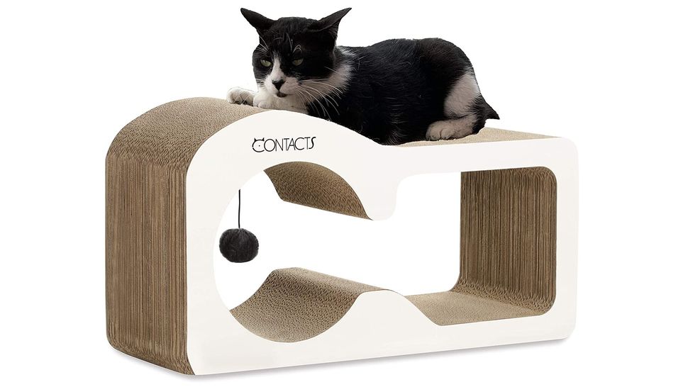 Best cat sofa Six places for your kitty to sit pretty PetsRadar