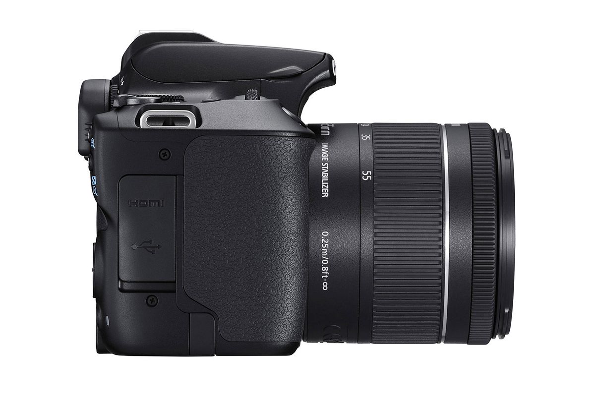 Canon EOS Rebel SL3 / EOS 250D. Image Credit: Canon