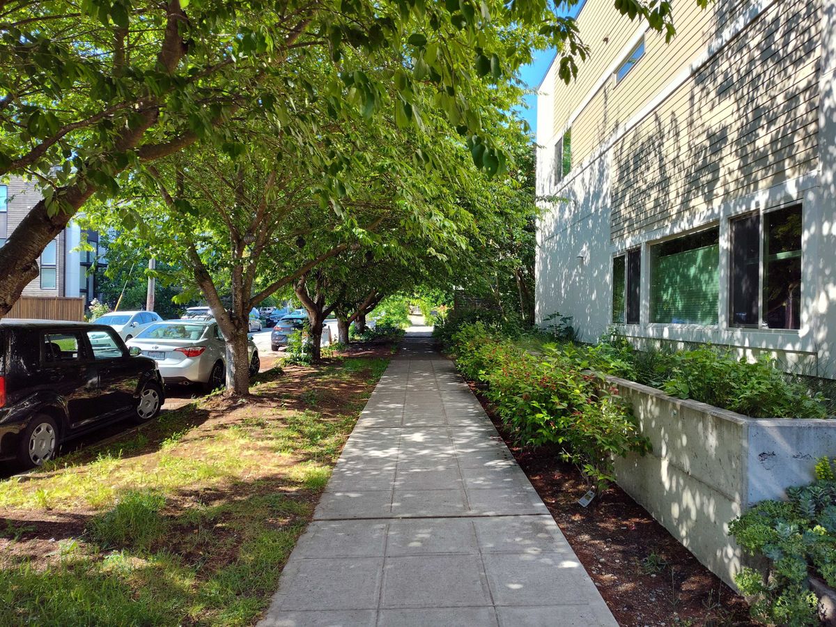 A sidewalk during the day