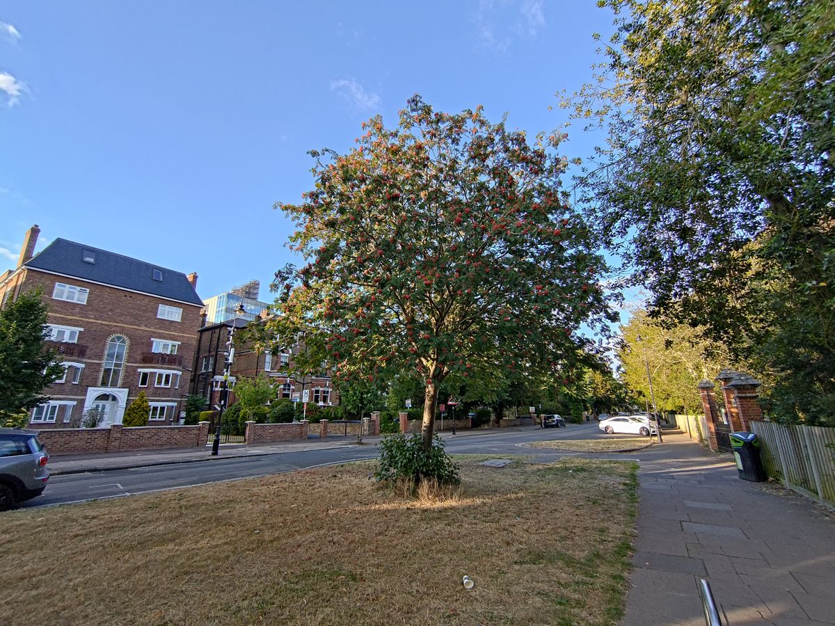 Photo taken on the Asus ROG Phone 6
