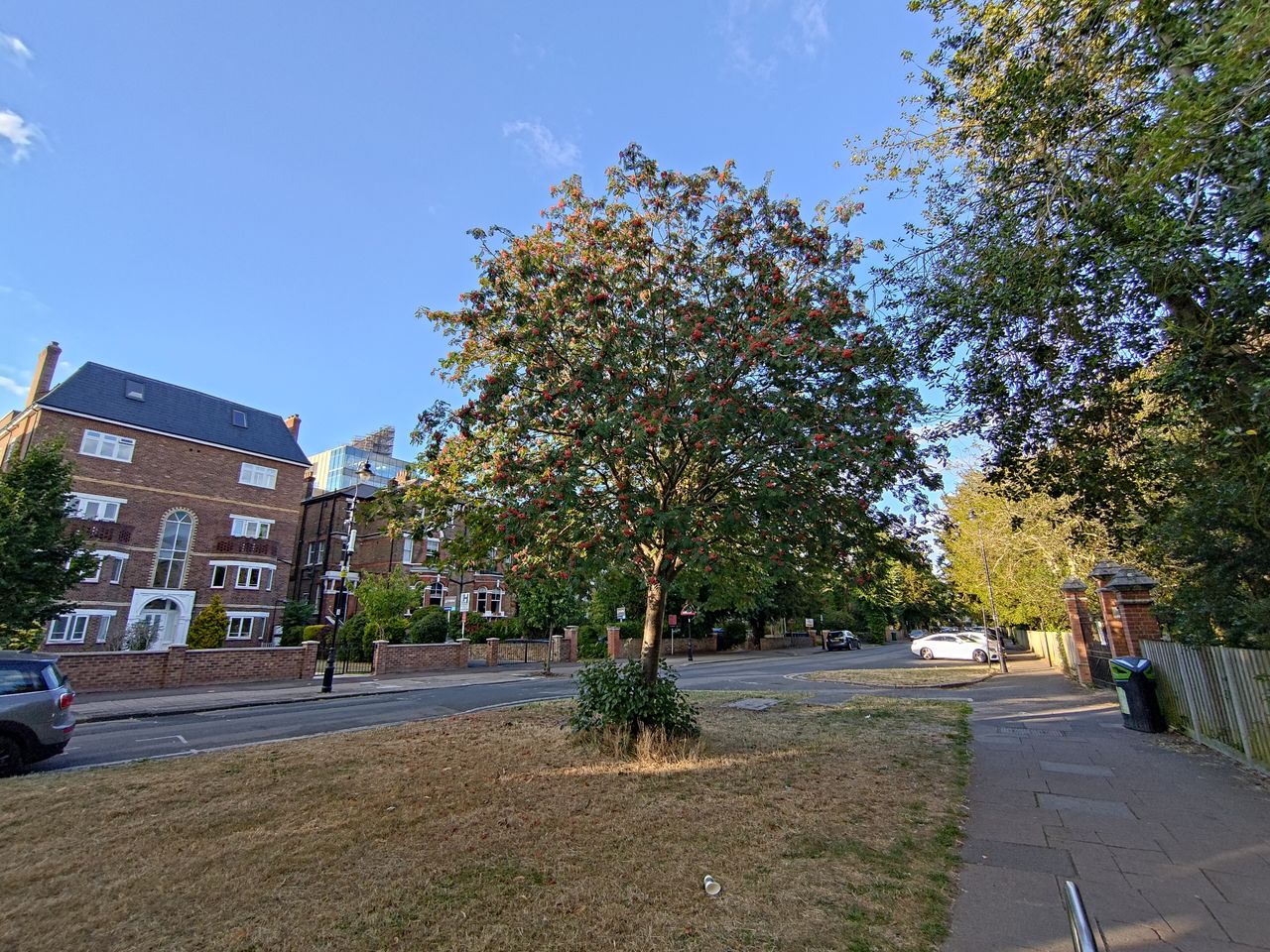 Photo taken on the Asus ROG Phone 6