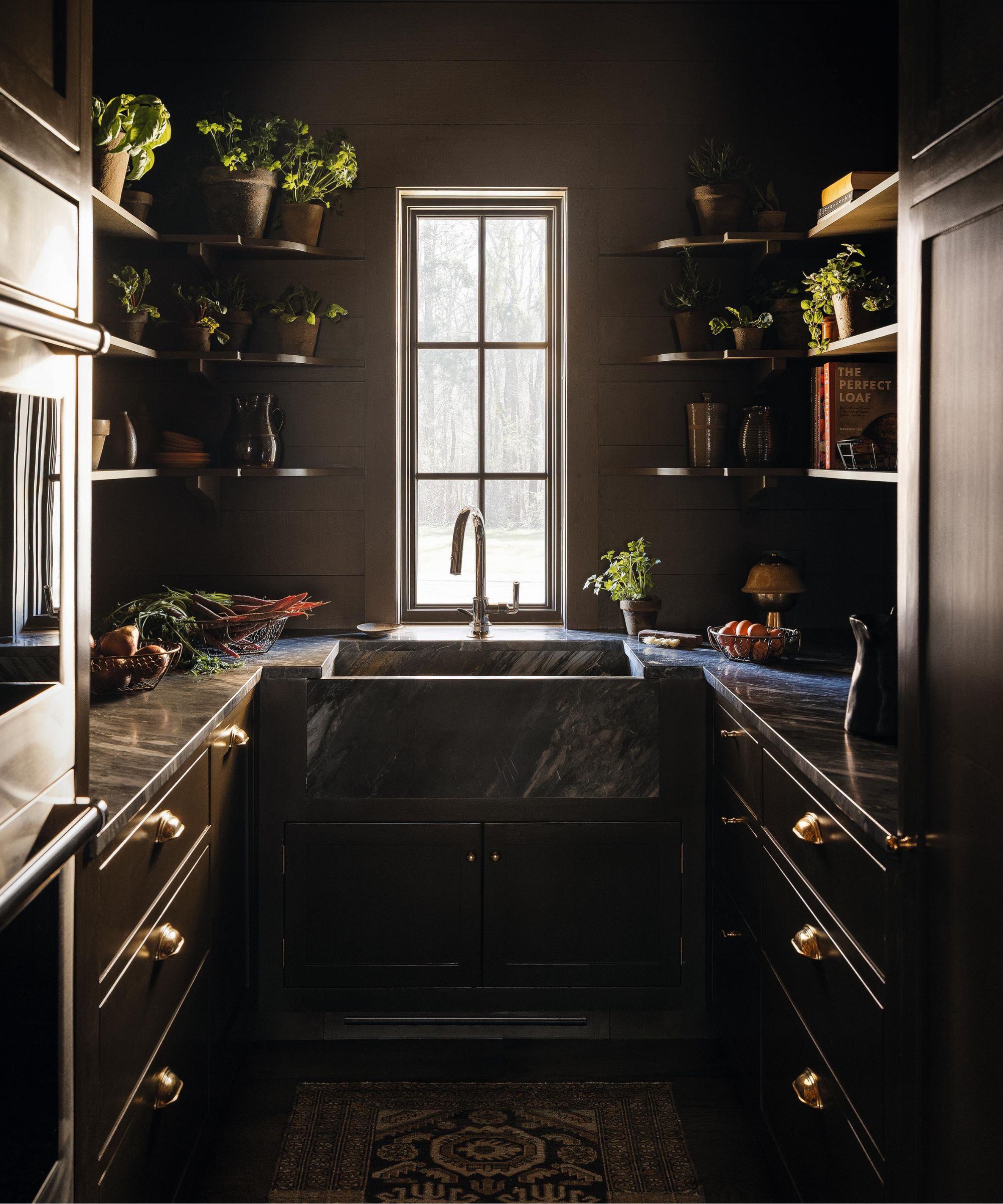 a dark brown moody pantry with shelves of potted plants, a marble sink and vintage rug