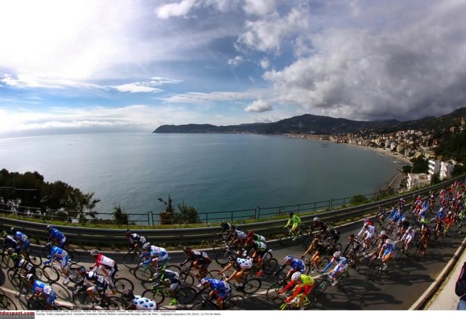 The peloton enjoying a dry day out