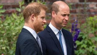Prince Harry, Duke of Sussex and Prince William, Duke of Cambridge during the unveiling of a statue