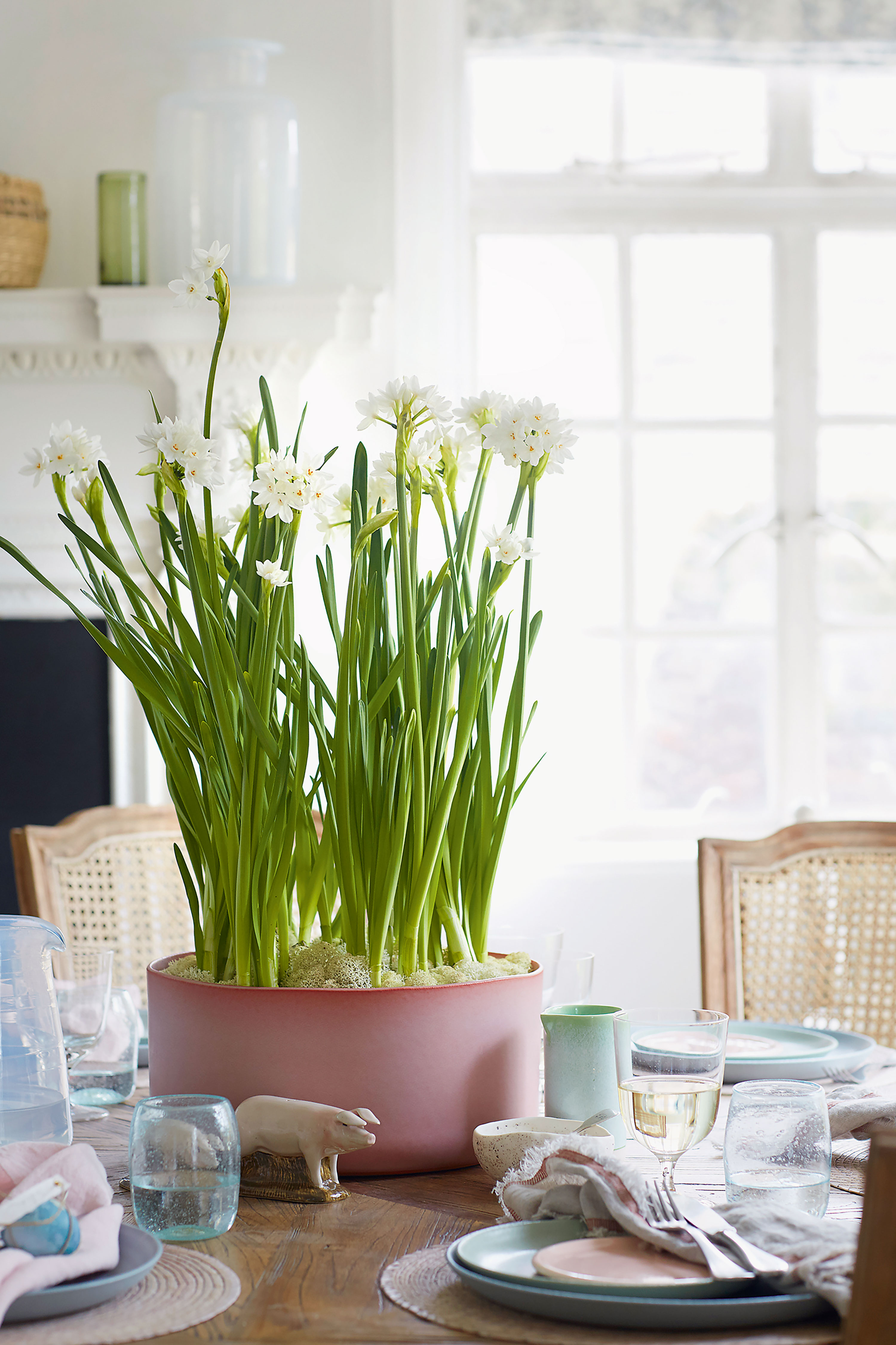 indoor garden ideas: bulbs in bowl on table