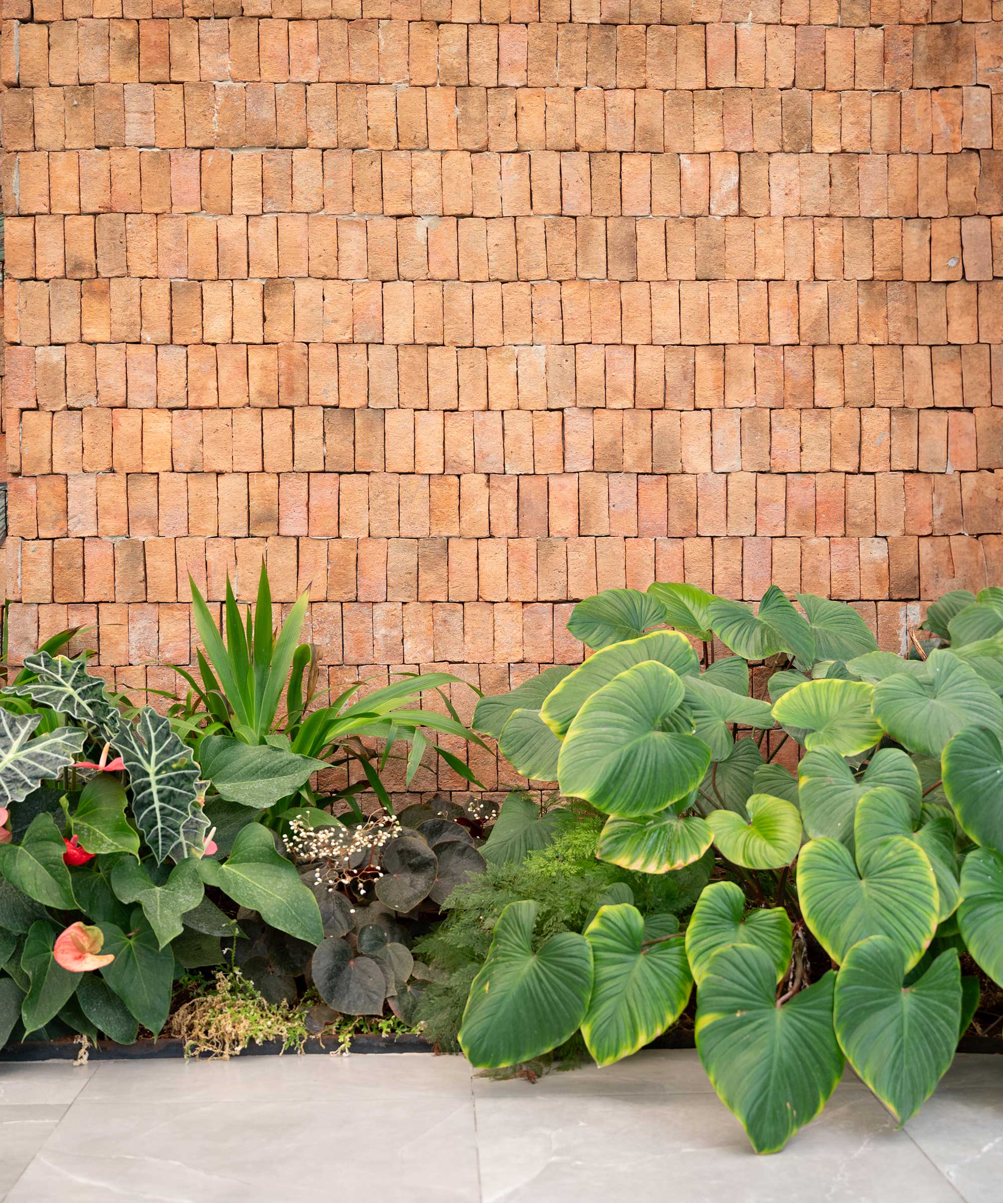 a brick wall with plants