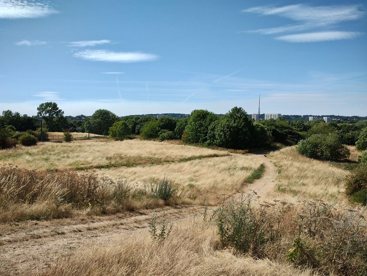Motorola G62 camera sample: Red, yellows and orange tones often seem a bit half-baked, making images appear less rich than they are through another camera&rsquo;s eyes.