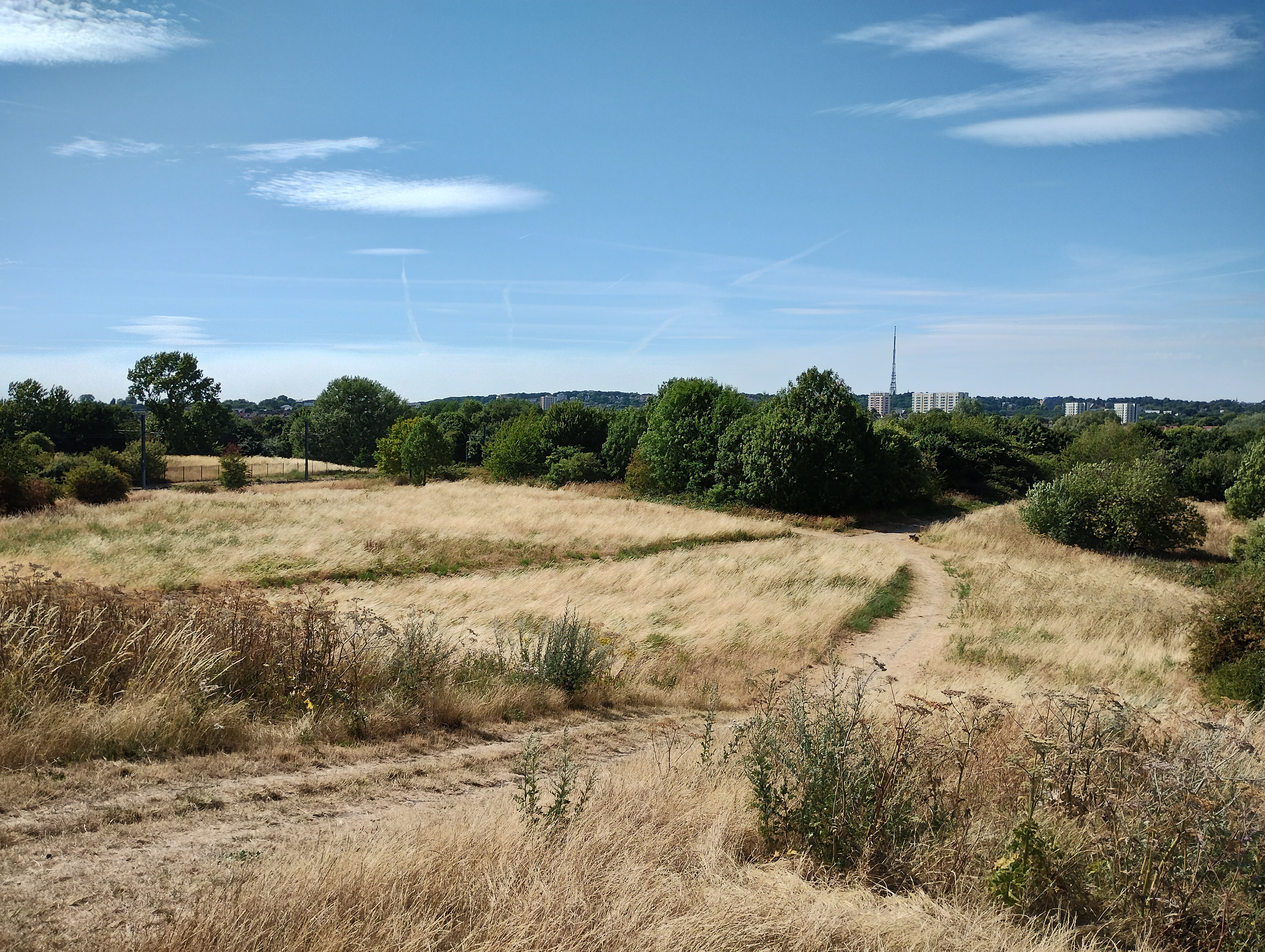 Motorola G62 camera sample: Red, yellows and orange tones often seem a bit half-baked, making images appear less rich than they are through another camera’s eyes.